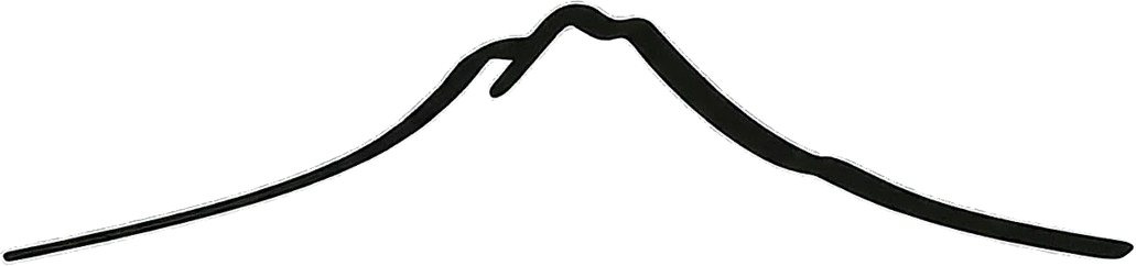 Radial Consulting logo